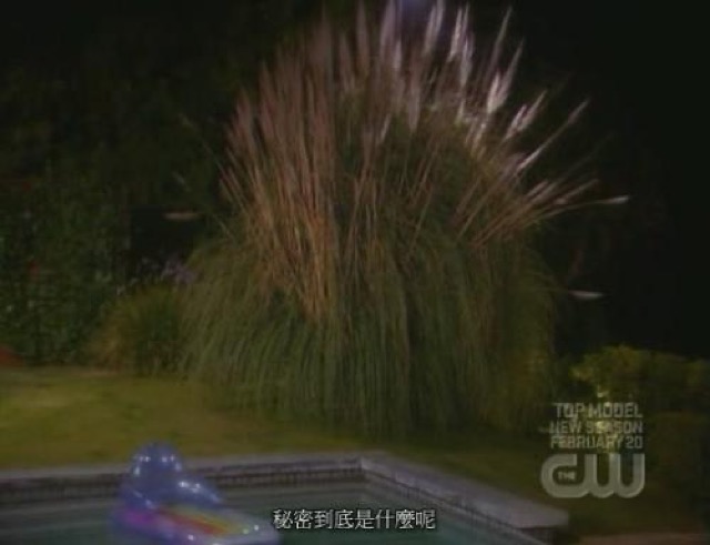 秘密到底是什麼呢