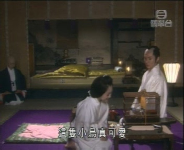 這隻小鳥真可愛