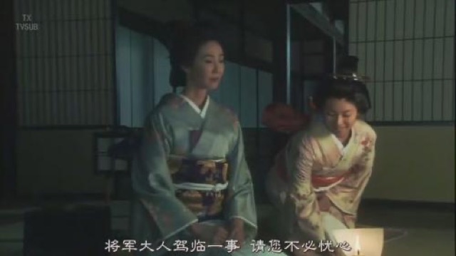 將軍大人駕臨一事　請您不必憂心