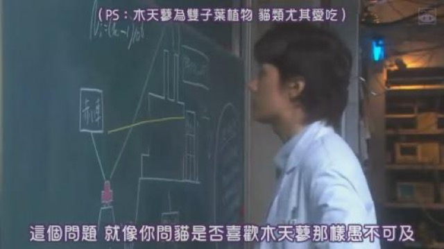 這個問題　就像你問貓是否喜歡木天蓼一樣愚不可及