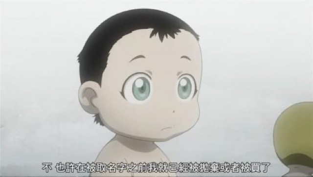 不　也許在被取名字之前我就已經被拋棄或者被買了
