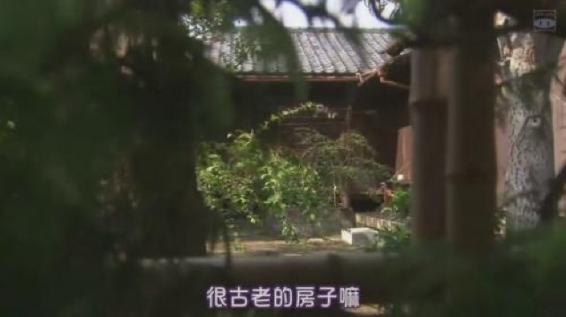 很古老的房子嘛