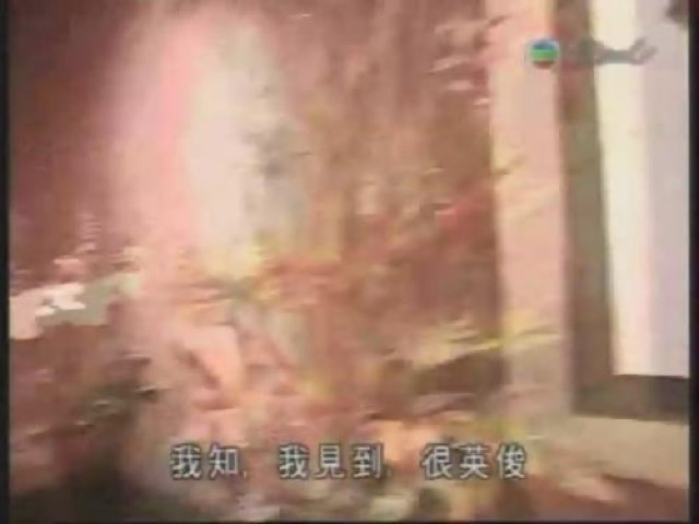 我知，我見到，很英俊