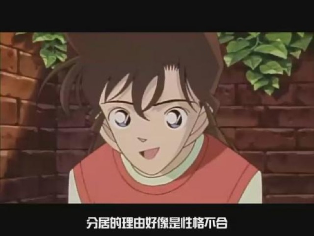 分居的理由好像是性格不合