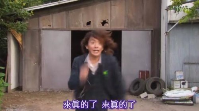 來真的了　來真的了