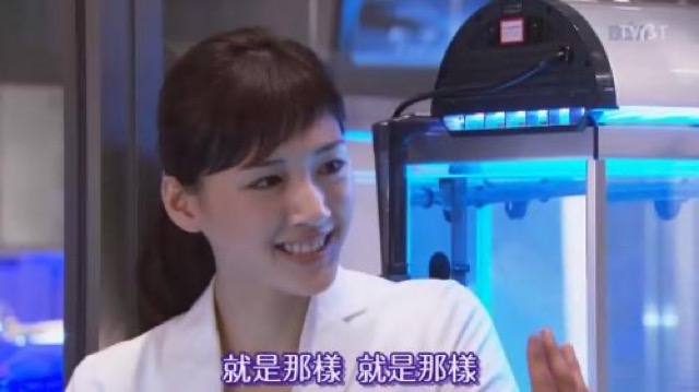 就是那樣　就是那樣