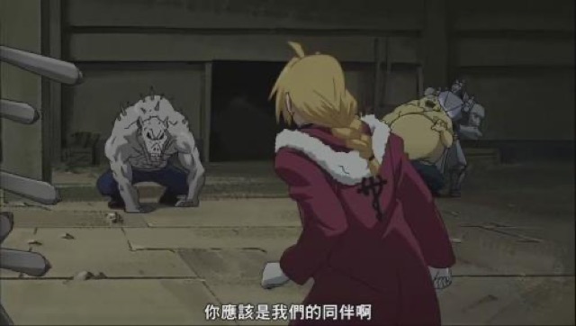 你應該是我們的同伴啊