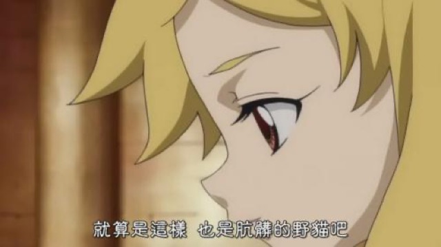 就算是這樣　也是骯髒的野貓吧