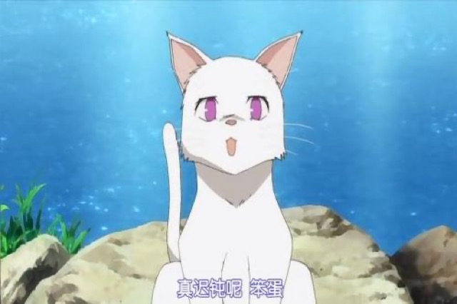 真遲鈍呢　笨蛋