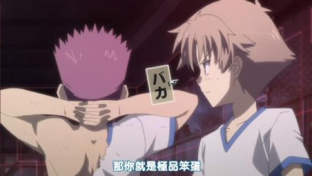 那你就是極品笨蛋