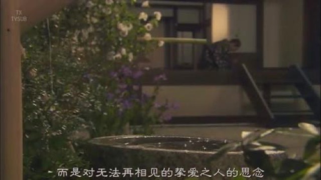 而是對無法再相見的摯愛之人的思念