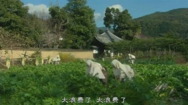 太浪費了　太浪費了