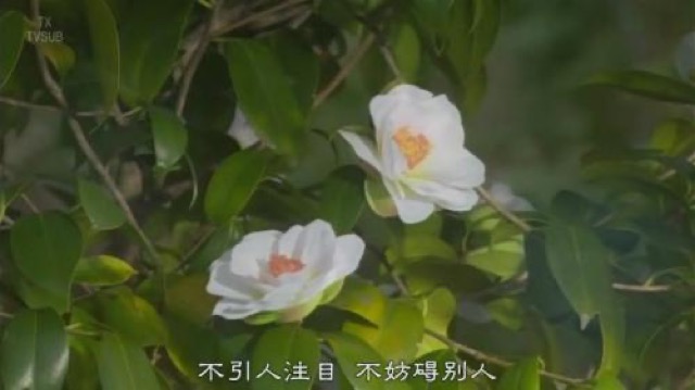 不引人注目　不妨礙別人