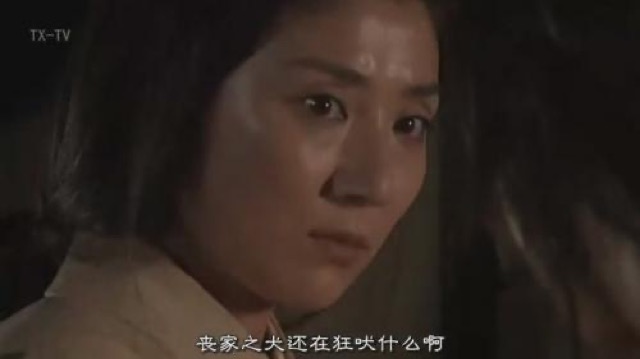 喪家之犬還在狂吠什麼啊