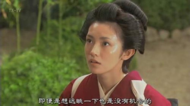 即便是想遠眺一下也是沒有機會的