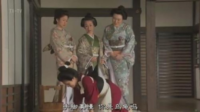 手腳真慢　你是烏龜嗎