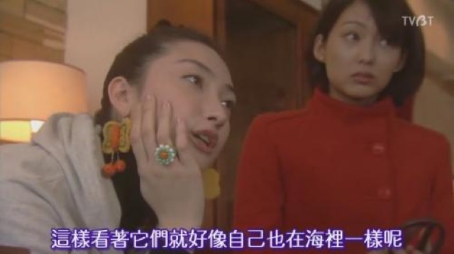 這樣看著它們就好像自己也在海裡一樣呢