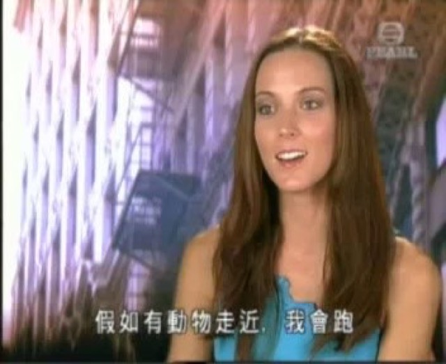 假如有動物走近，我會跑