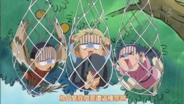 為什麼我們要遭這種罪啊