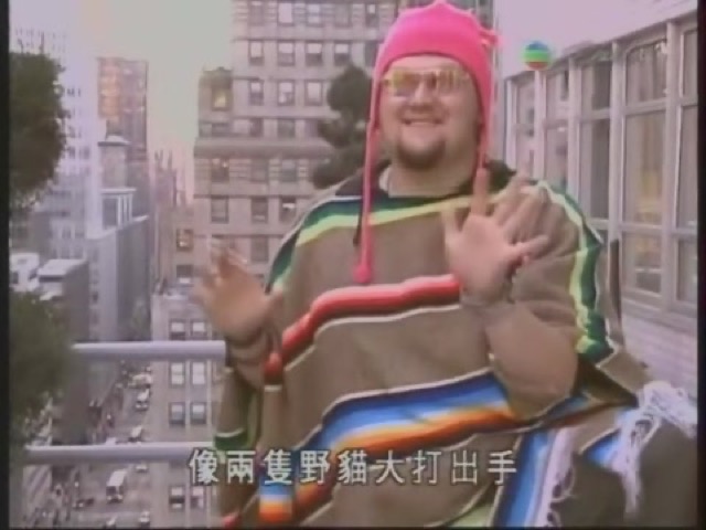 像兩隻野貓大打出手