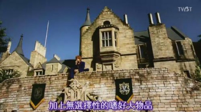 加上無選擇性的嗜好大物品