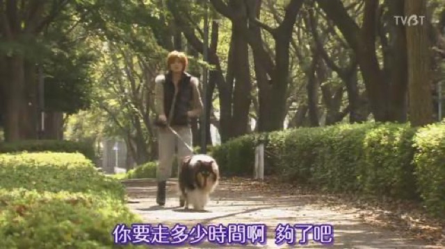 你要走多少時間啊　夠了吧