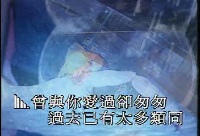 曾與你愛過卻匆匆　過去已有太多類同