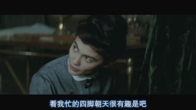 看我忙得四腳朝天很有趣是吧