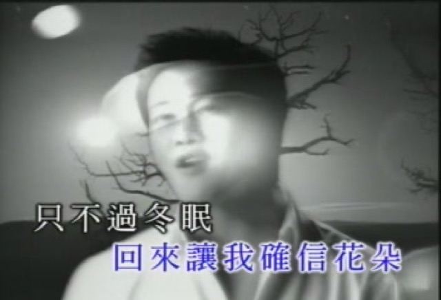 回來讓我確信花朵只不過冬眠