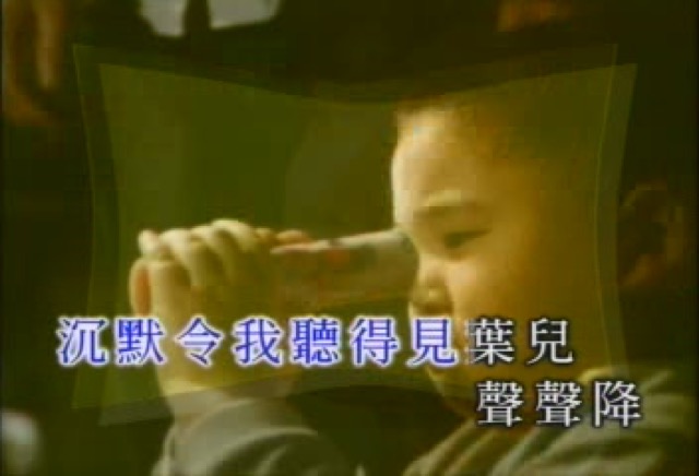 沉默令我聽得見葉兒聲聲降