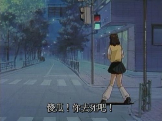 傻瓜！你去死吧！