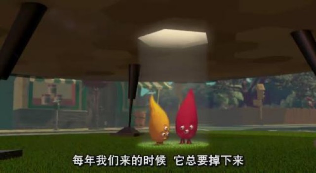 每年我們來的時候　它總要掉下來